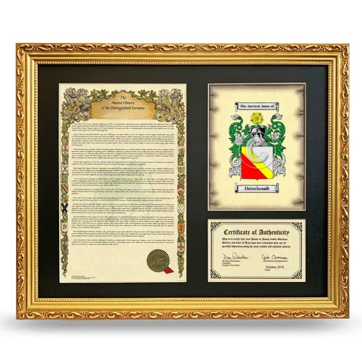 Osterhoudt Framed Surname History and Coat of Arms- Gold