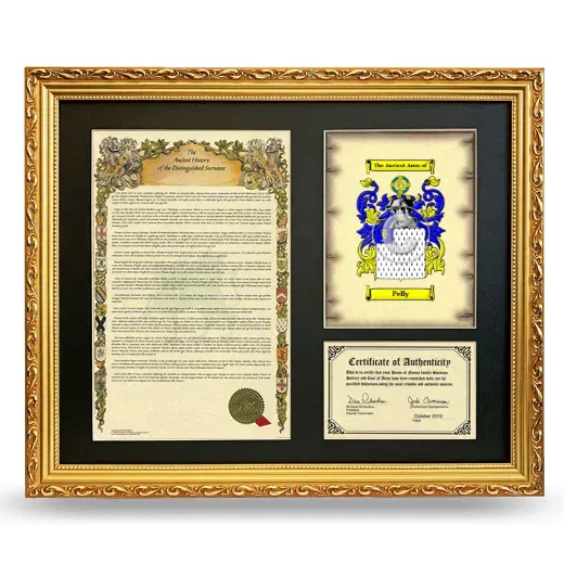 Pelly Framed Surname History and Coat of Arms- Gold
