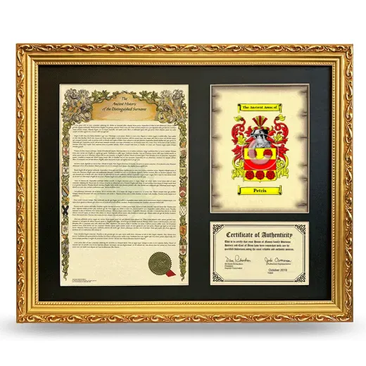 Petris Framed Surname History and Coat of Arms- Gold