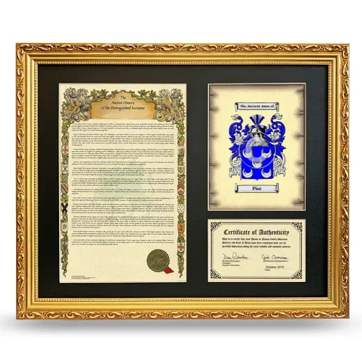 Pint Framed Surname History and Coat of Arms- Gold
