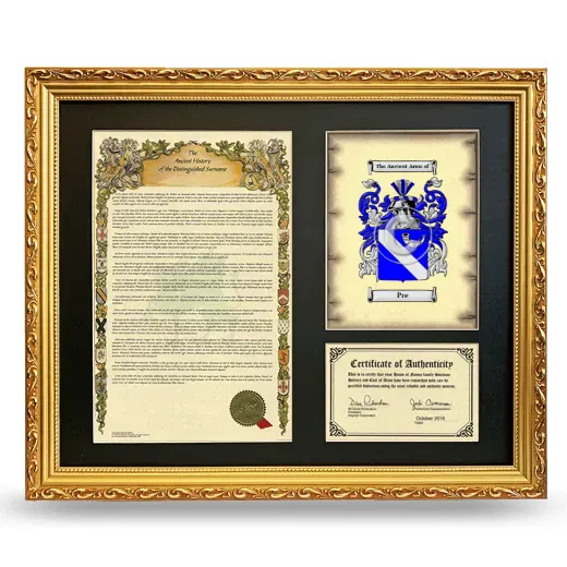 Pre Framed Surname History and Coat of Arms- Gold