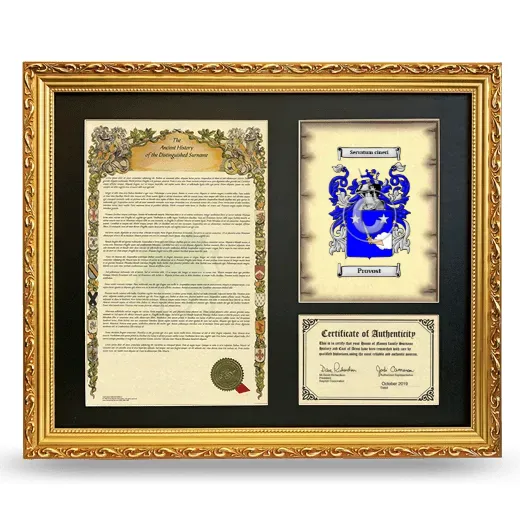 Provost Framed Surname History and Coat of Arms- Gold