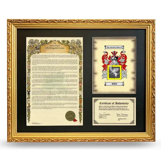 Riffel Framed Surname History and Coat of Arms- Gold