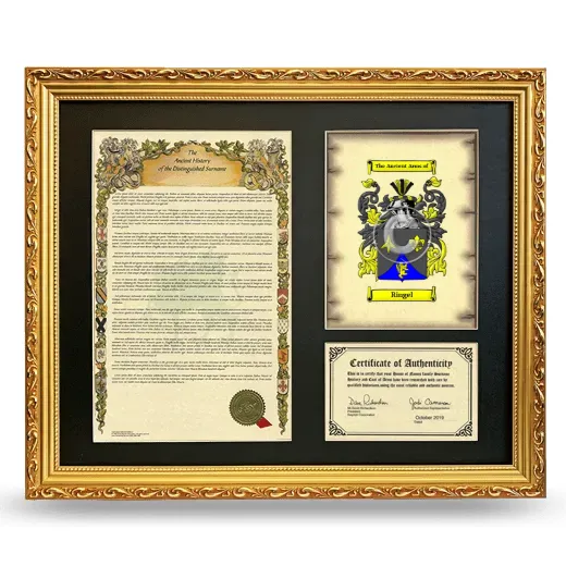 Ringel Framed Surname History and Coat of Arms- Gold