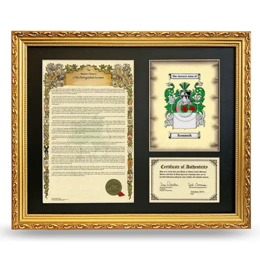 Romanik Framed Surname History and Coat of Arms- Gold