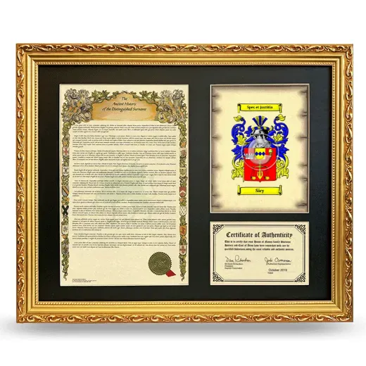 Siry Framed Surname History and Coat of Arms- Gold