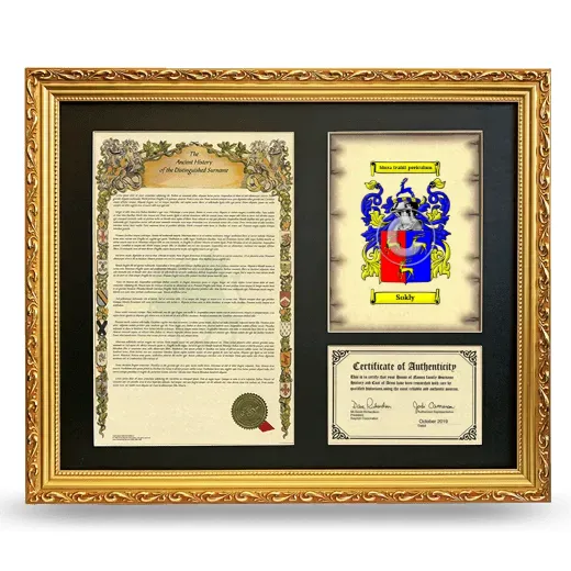 Sokly Framed Surname History and Coat of Arms- Gold