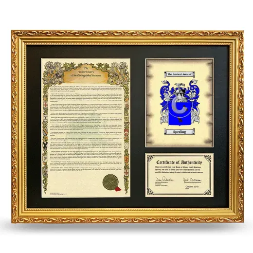 Sperling Framed Surname History and Coat of Arms- Gold