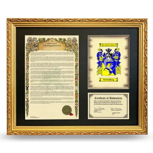 Stettenberg Framed Surname History and Coat of Arms- Gold