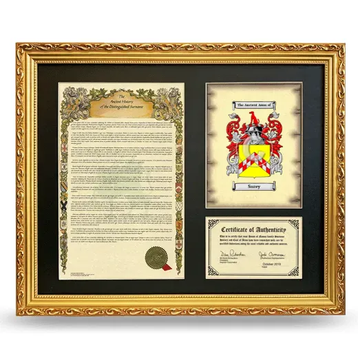 Surey Framed Surname History and Coat of Arms- Gold