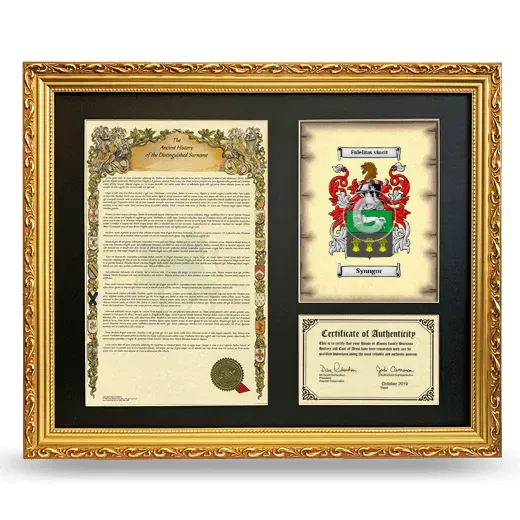 Synngor Framed Surname History and Coat of Arms- Gold