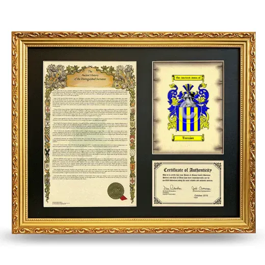 Ternier Framed Surname History and Coat of Arms- Gold