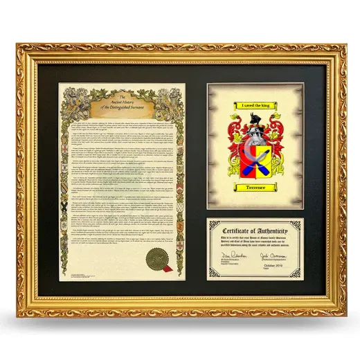 Terrence Framed Surname History and Coat of Arms- Gold