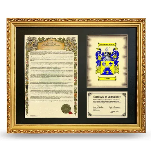 Timko Framed Surname History and Coat of Arms- Gold