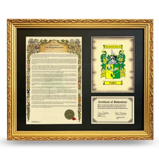 Topless Framed Surname History and Coat of Arms- Gold
