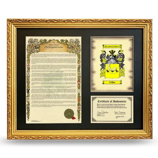 Veline Framed Surname History and Coat of Arms- Gold