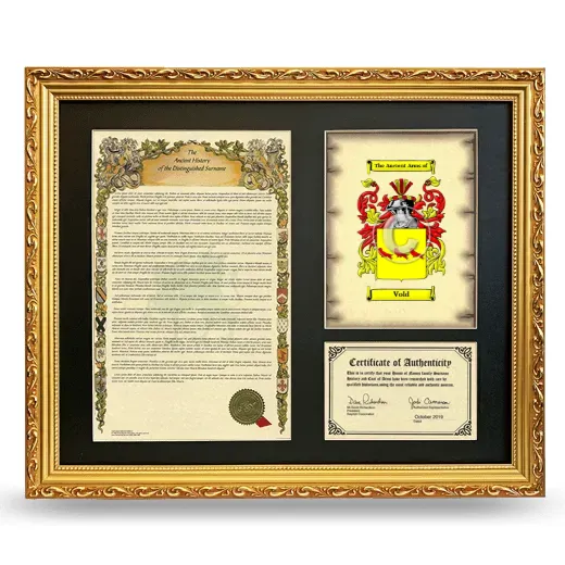 Vold Framed Surname History and Coat of Arms- Gold