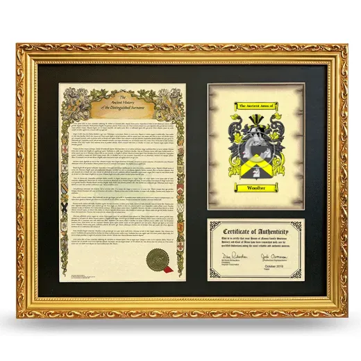 Woofter Framed Surname History and Coat of Arms- Gold