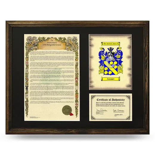 Amonet Framed Surname History and Coat of Arms - Brown