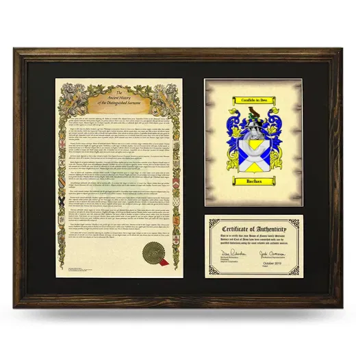 Bachas Framed Surname History and Coat of Arms - Brown