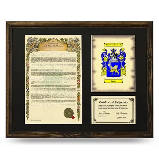 Bader Framed Surname History and Coat of Arms - Brown