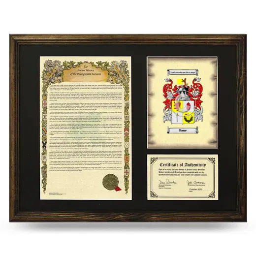 Bane Framed Surname History and Coat of Arms - Brown