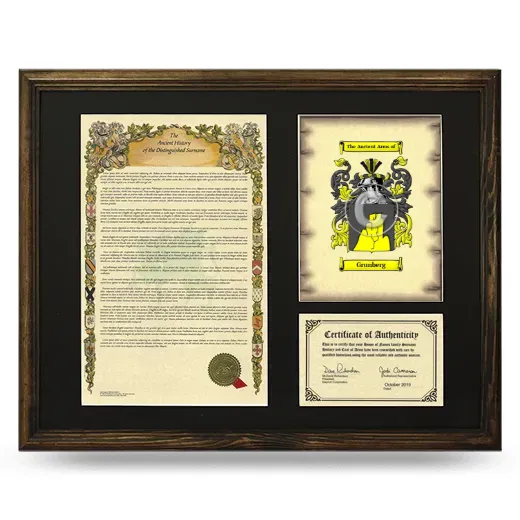 Grunberg Framed Surname History and Coat of Arms - Brown