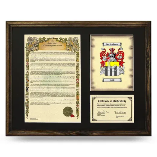 Guile Framed Surname History and Coat of Arms - Brown