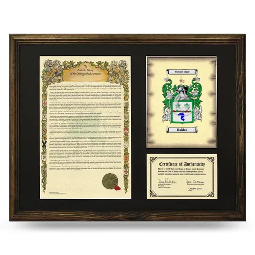 Halder Framed Surname History and Coat of Arms - Brown