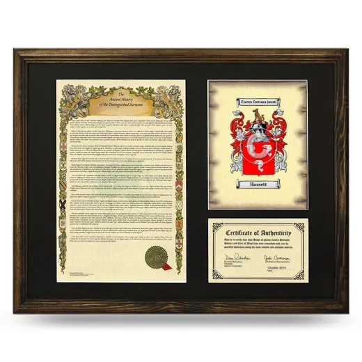 Hassett Framed Surname History and Coat of Arms - Brown