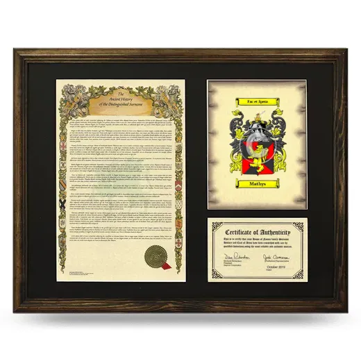 Mathys Framed Surname History and Coat of Arms - Brown