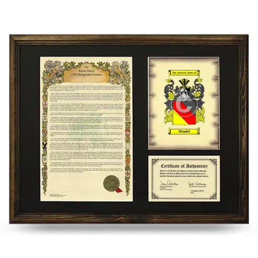 Mendel Framed Surname History and Coat of Arms - Brown