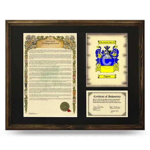 Pagano Framed Surname History and Coat of Arms - Brown