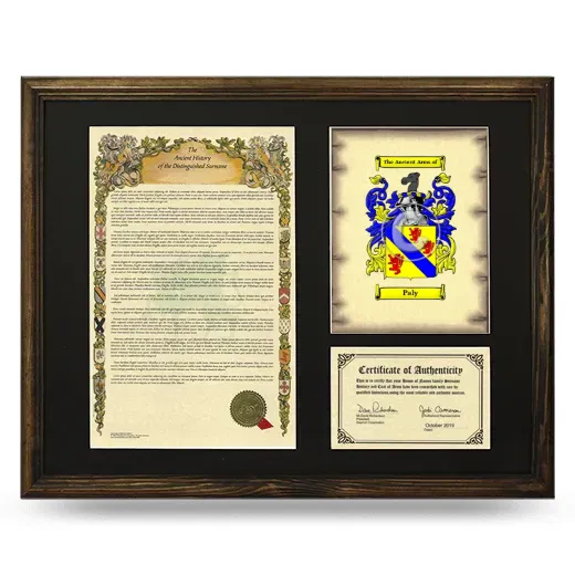 Paly Framed Surname History and Coat of Arms - Brown
