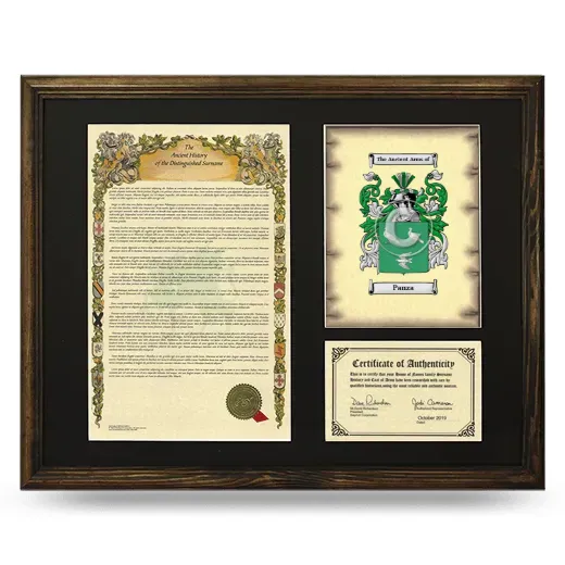 Panza Framed Surname History and Coat of Arms - Brown