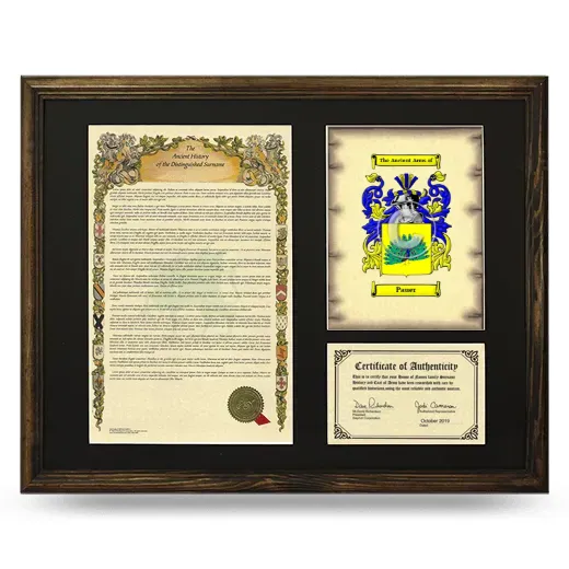 Pauer Framed Surname History and Coat of Arms - Brown