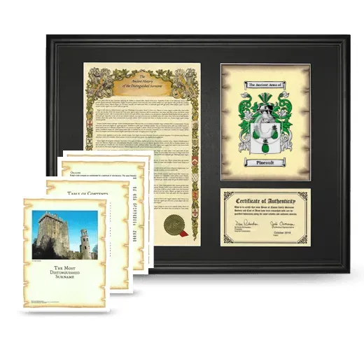 Pineault Framed History And Complete History- Black