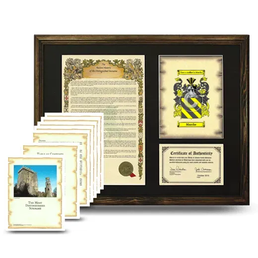 Marche Framed History And Complete History- Brown