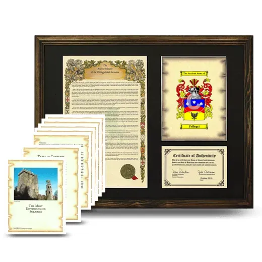 Pellegri Framed History And Complete History- Brown