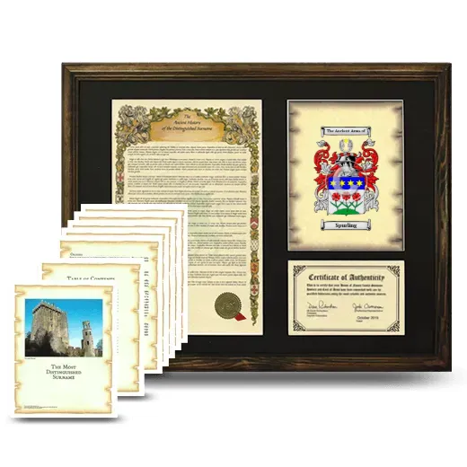 Spurling Framed History And Complete History- Brown