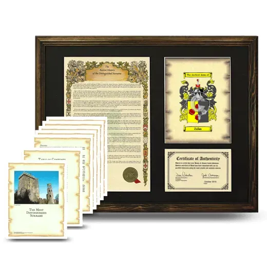 Zahn Framed History And Complete History- Brown