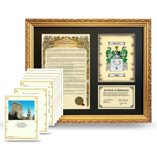Chap Framed History And Complete History - Gold