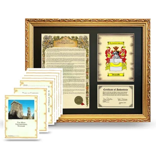 Dicamillo Framed History And Complete History - Gold
