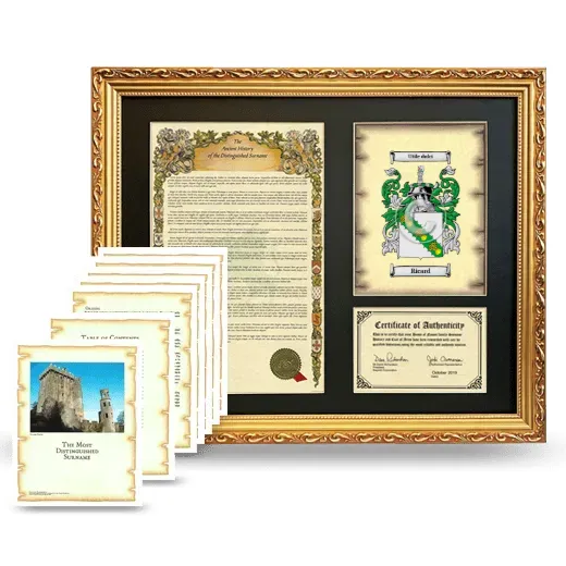 Ricard Framed History And Complete History - Gold