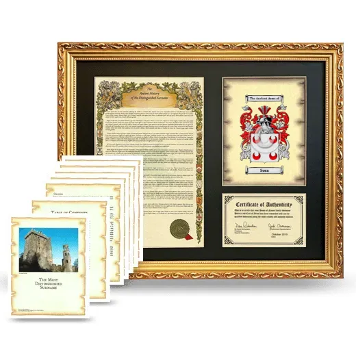 Sosa Framed History And Complete History - Gold