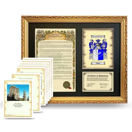 Veger Framed History And Complete History - Gold