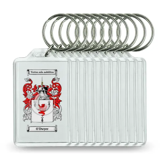 O'Dwyer Set of 10 Keychains