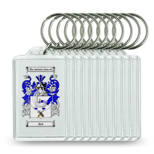 Ace Set of 10 Keychains