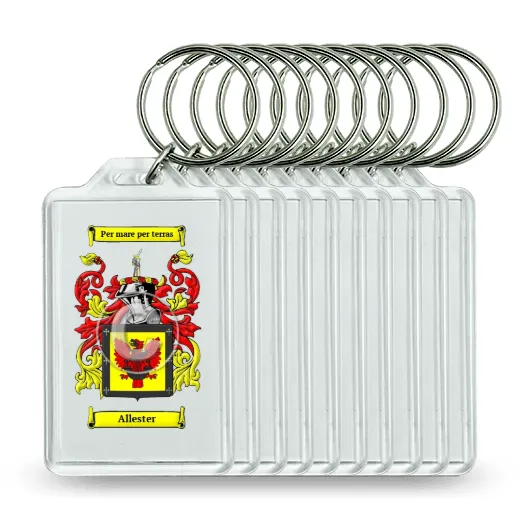 Allester Set of 10 Keychains