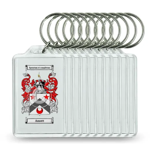 Amott Set of 10 Keychains